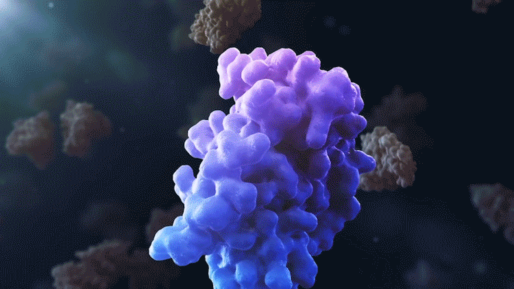 Molecular glues bring proteins together.