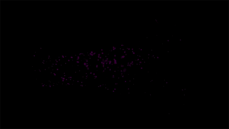 Super-resolution microscopes reveal tubulin proteins in a neuron.