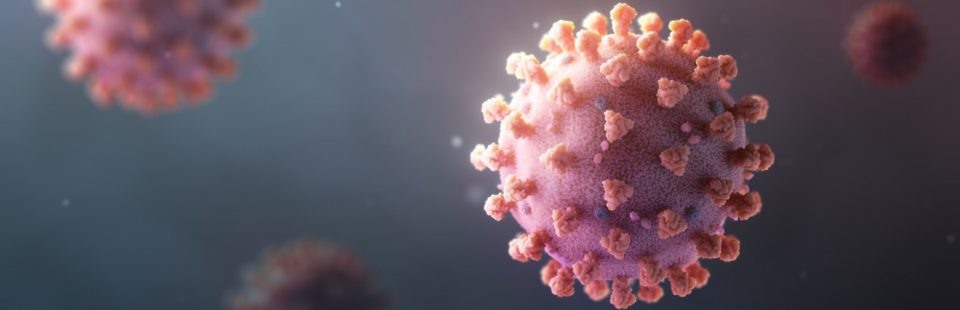 Coronavirus