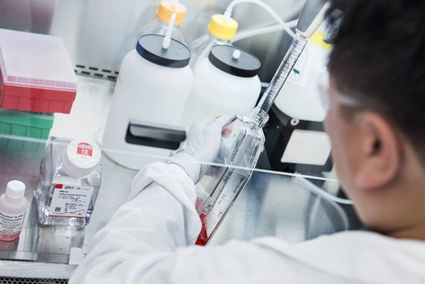 Cell culture