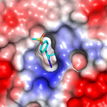 compound-binding-eed