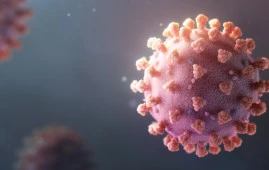 Coronavirus