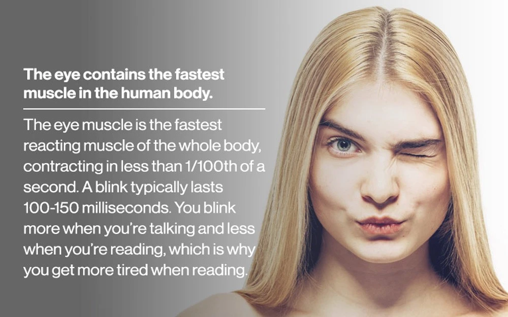 Eye fact 4