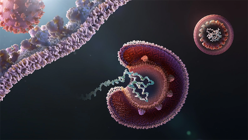 Viral replication is a multistep process