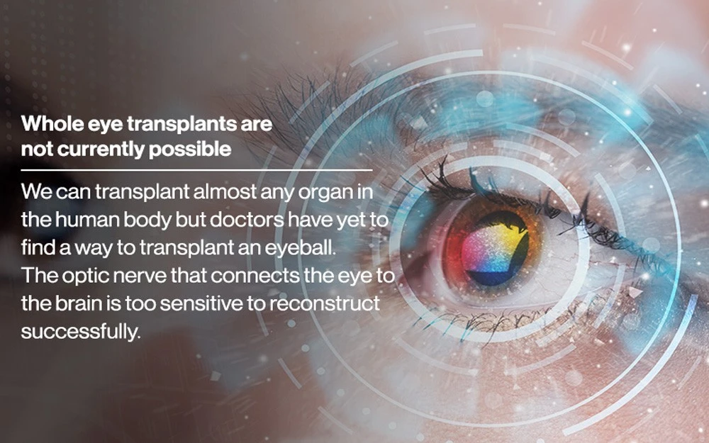 Eye fact 3