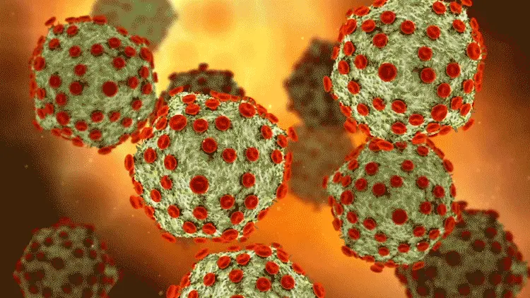 Image of HIV virus