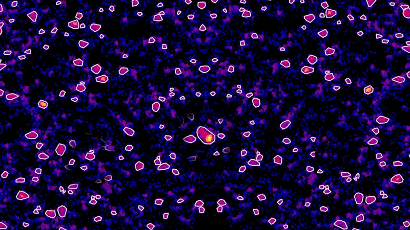 Super-resolution microscopes enable scientists to learn how tau clusters grow.
