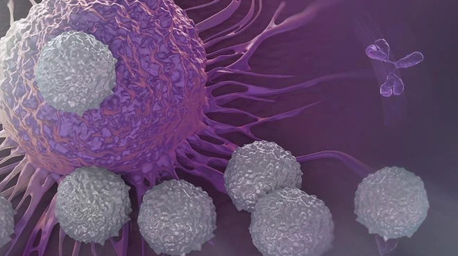 How scientists aim to expand immunotherapy options for cancer patients