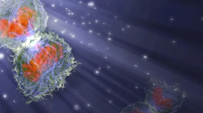 Novartis and Pfizer join forces to upend oncology dogma