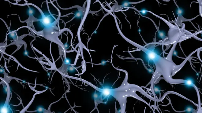 Neuroscientists restore cell-to-cell signaling and sociability in autism models