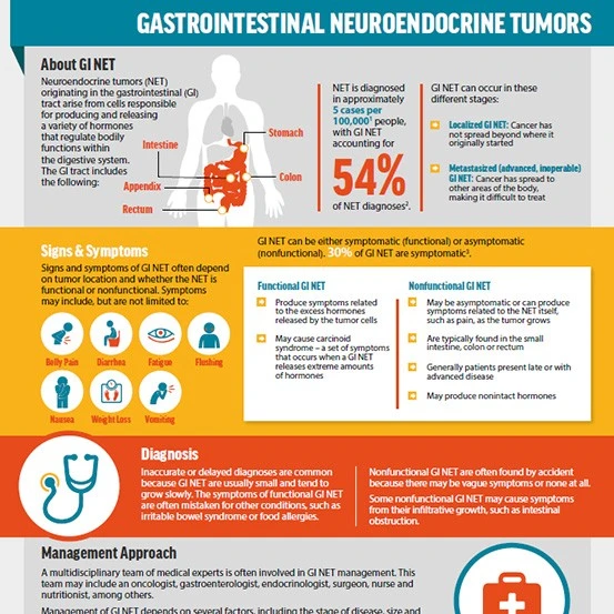 GI NET Infographic